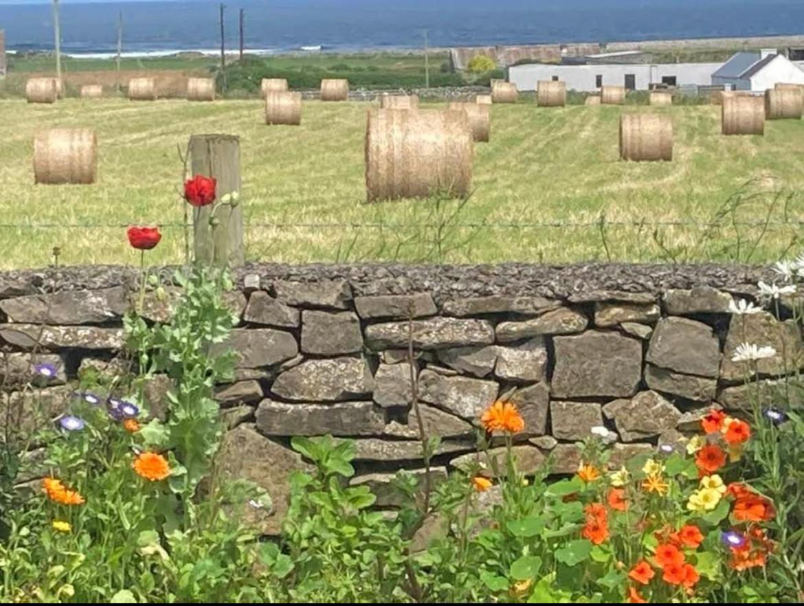 Wild Atlantic View Bed & Breakfast Sligo Ngoại thất bức ảnh